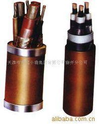 天津市天缆小猫集团南开分公司通讯电缆及控制电缆产品列表